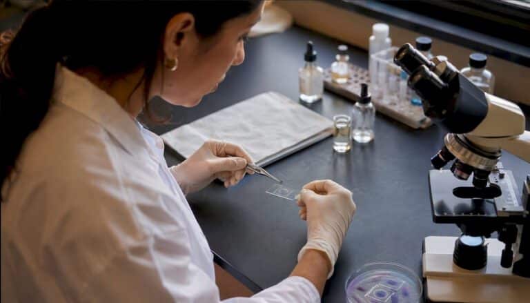 Hands preparing mitochondria microscope slide
