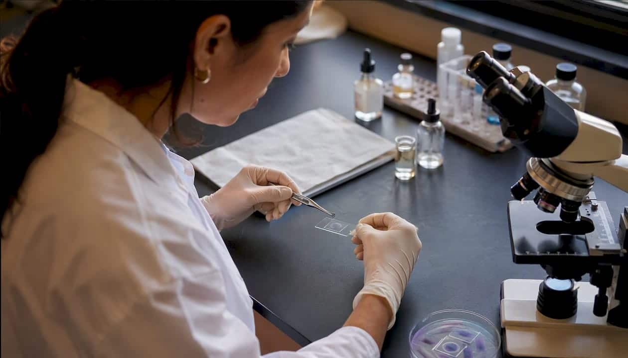 Hands preparing mitochondria microscope slide