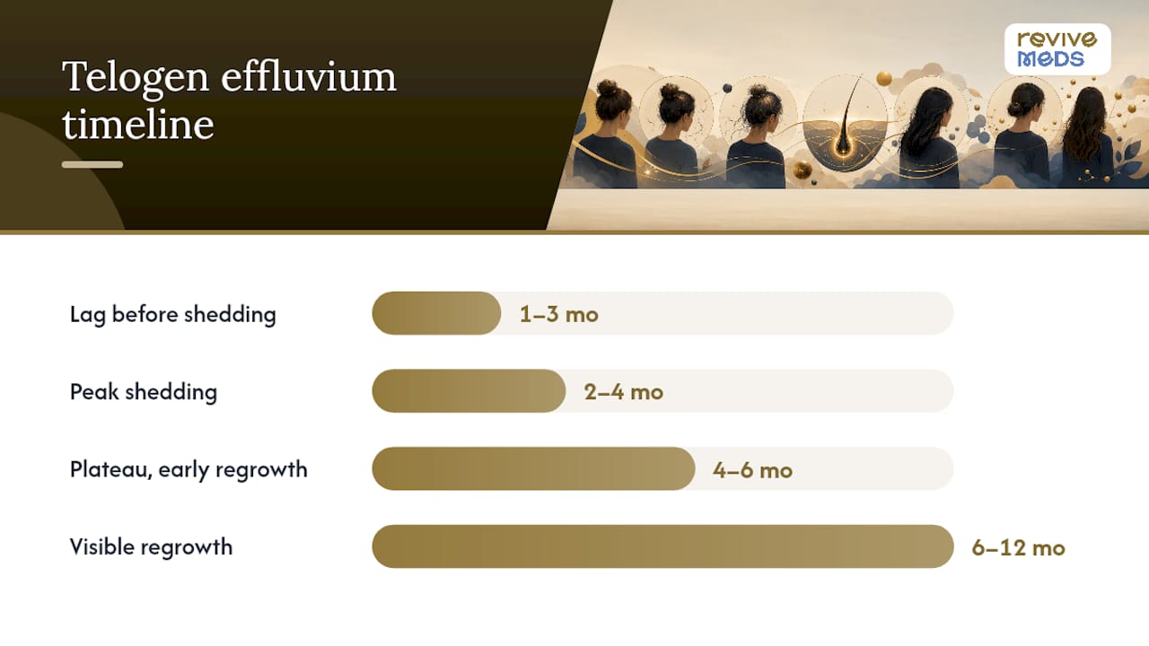 Timeline diagram of telogen effluvium hair loss phases